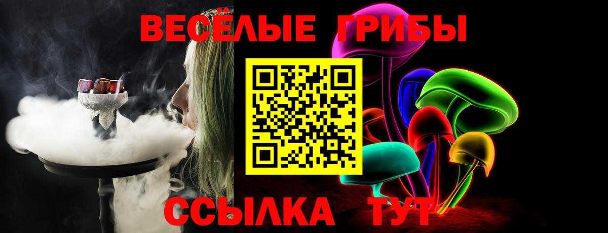 Галлюциногенные грибы Psilocybine cubensis  Вход с VPN  Псилоцибиновые грибы мицелий  Сокол 